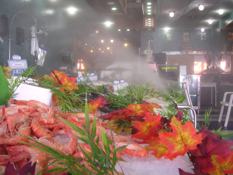 Brumisation d'un étal de poissonnerie