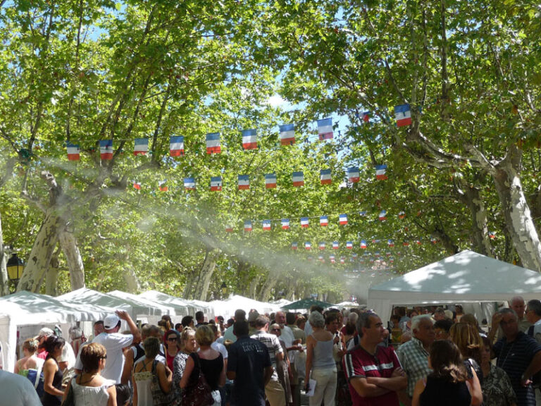 Brumisation d'une fête de village pour un événement en plein air