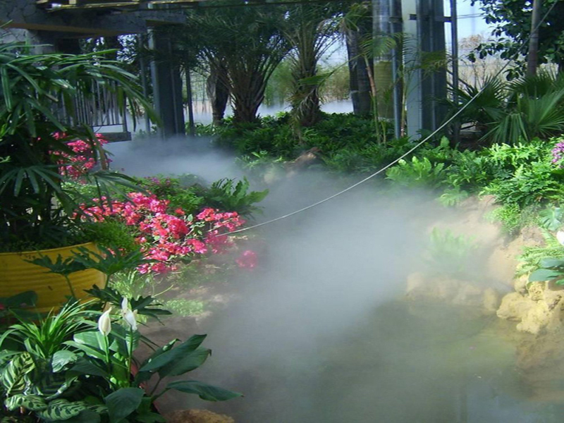 Brumisation dans un jardin d'hiver planté