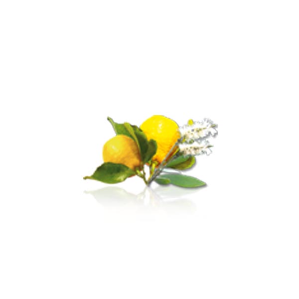 BRUMISUD huile essentielle cajeput-citron