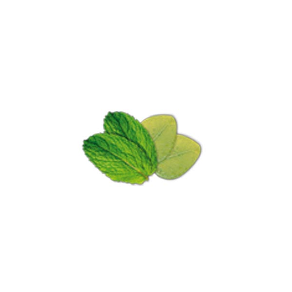 BRUMISUD huile essentielle euca-menthe