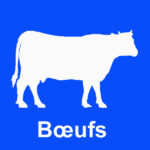 Pictogramme brumisation pour élevage de bœufs