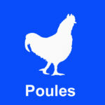 Pictogramme brumisation pour élevage de poules