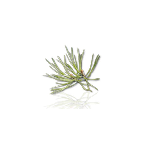BRUMISUD huile essentielle pin